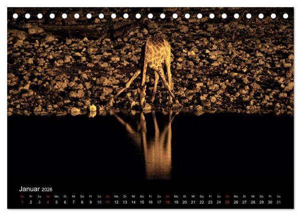 Produktbild: Giraffen &ndash; Faszination der Wildnis (Tischkalender 2026 DIN A5 quer), CALVENDO Monatskalender