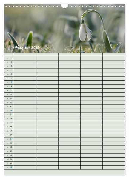 Produktbild: Kleine Natursch&ouml;nheiten (Wandkalender 2026 DIN A3 hoch), CALVENDO Monatskalender