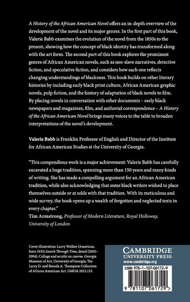 Produktbild: A History of the African American Novel