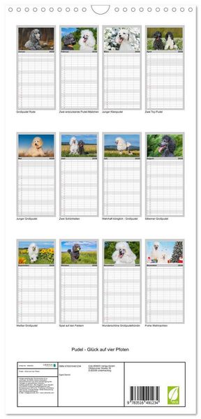 Produktbild: Familienplaner 2026 - Pudel - Gl&uuml;ck auf vier Pfoten mit 5 Spalten (Wandkalender, 21 x 45 cm) CALVENDO