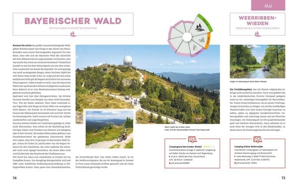Produktbild: Yes we camp! Zur richtigen Zeit am perfekten Ort