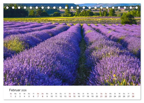 Produktbild: Tr&auml;ume aus Lavendel, Provence in Rosa bis Lila (Tischkalender 2026 DIN A5 quer), CALVENDO Monatskalender