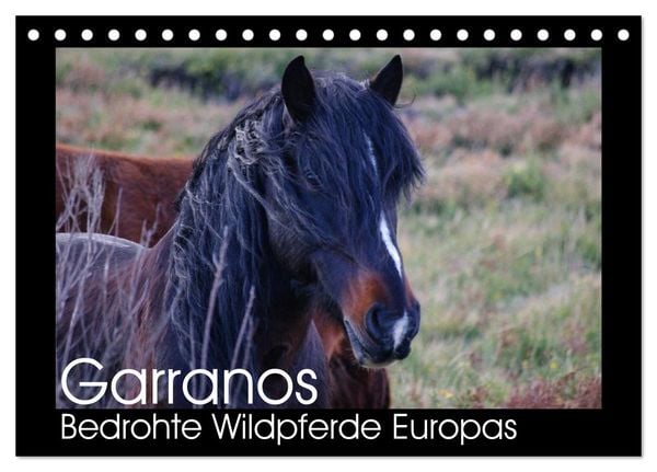 Produktbild: Garranos - Bedrohte Wildpferde Europas (Tischkalender 2026 DIN A5 quer), CALVENDO Monatskalender