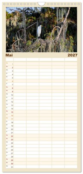 Produktbild: Familienplaner 2027 - Louisiana - S&uuml;mpfe und Plantagenh&auml;user mit 5 Spalten (Wandkalender, 21 x 45 cm) CALVENDO
