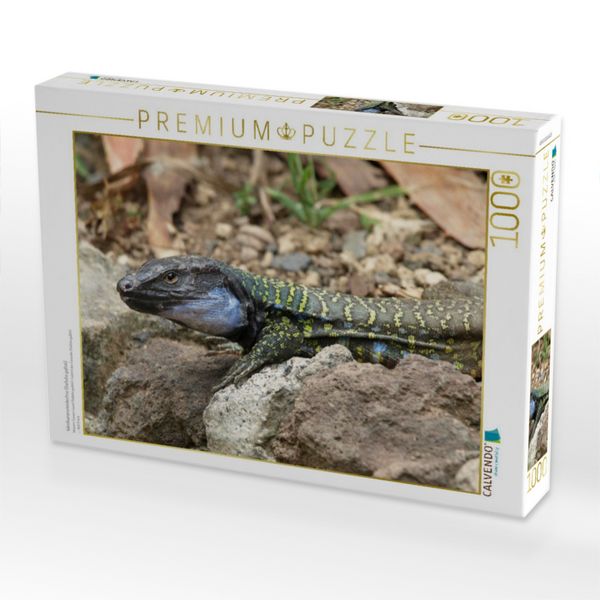 Produktbild: CALVENDO Puzzle Westkanareneidechse (Gallotia galloti) | 1000 Teile Lege-Gr&ouml;&szlig;e 64x48cm Foto-Puzzle f&uuml;r gl&uuml;ckliche Stunden