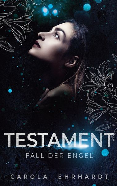 Produktbild: Testament
