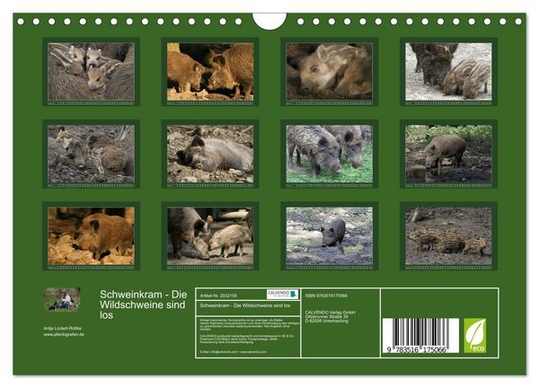 Produktbild: Schweinkram - Die Wildschweine sind los (Wandkalender 2026 DIN A4 quer), CALVENDO Monatskalender