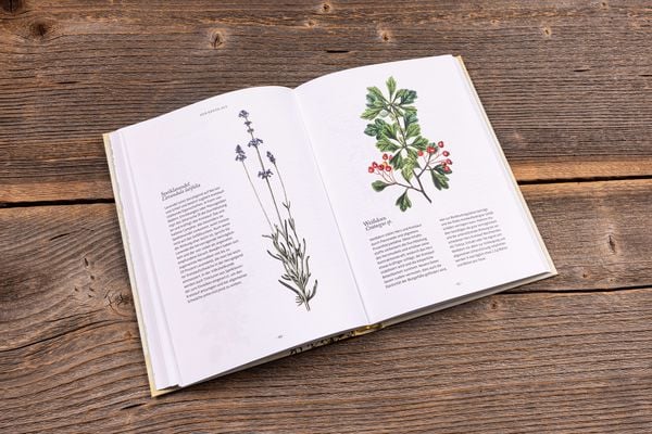 Produktbild: Die Kr&auml;uter-Apotheke f&uuml;r unsere Organe