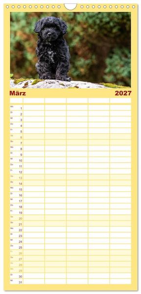 Produktbild: Familienplaner 2027 - Maltipoo Welpen mit 5 Spalten (Wandkalender, 21 x 45 cm) CALVENDO