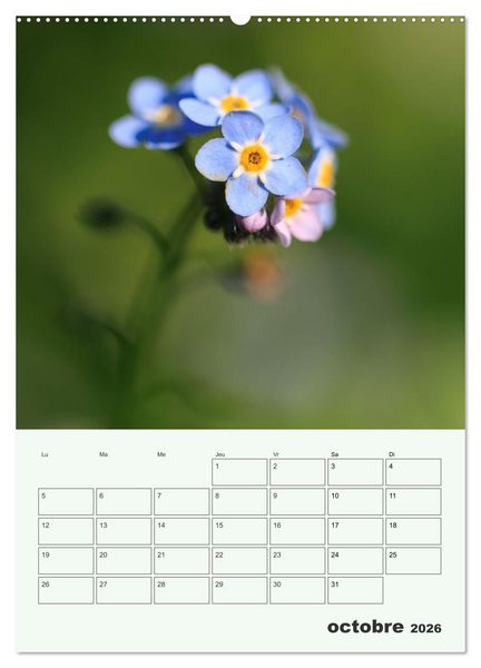 Produktbild: Fleurs en toute simplicit&eacute; - Beaut&eacute; minimaliste (Calendrier mural 2026 DIN A2 horizontal) calendrier de bureau