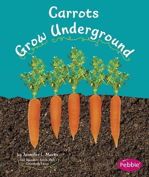 Carrots Grow Underground, Taschenbuch von Mari Schuh, Capstone, 9781429661850