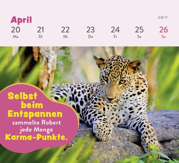 Produktbild: Mini-Wochenkalender 2026: Tierisch gechillt!
