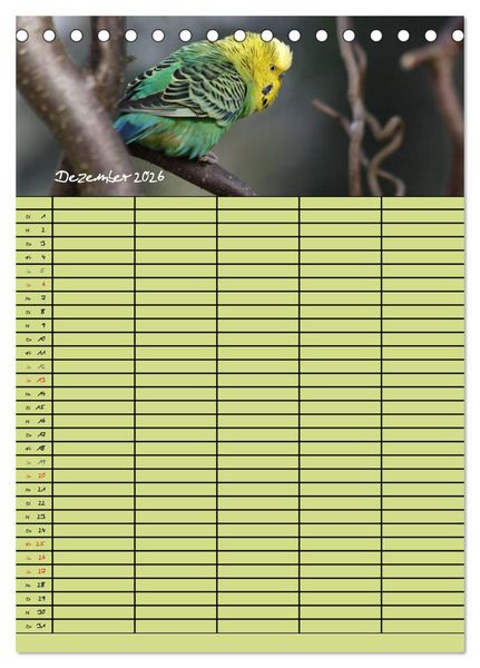 Produktbild: Der Wellensittich-Familienplaner (Tischkalender 2026 DIN A5 hoch), CALVENDO Monatskalender