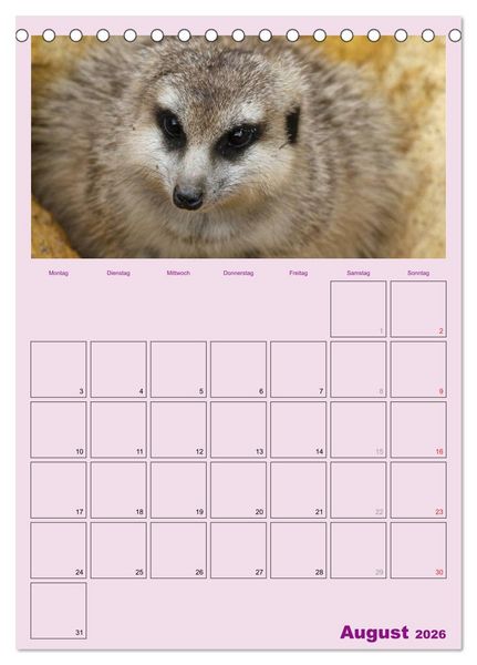 Produktbild: Erdm&auml;nnchen / Terminplaner (Tischkalender 2026 DIN A5 hoch), CALVENDO Monatskalender