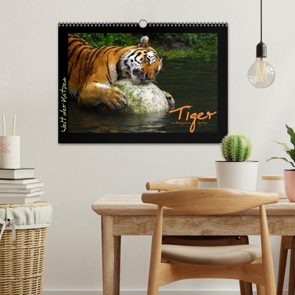 Produktbild: Welt der Katzen - Tiger (Wandkalender 2026 DIN A3 quer), CALVENDO Monatskalender