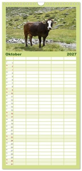 Produktbild: Familienplaner 2027 - K&uuml;he mit H&ouml;rnern mit 5 Spalten (Wandkalender, 21 x 45 cm) CALVENDO