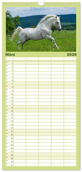 Produktbild: Familienplaner 2026 - Welt der Pferde mit 5 Spalten (Wandkalender, 21 x 45 cm) CALVENDO