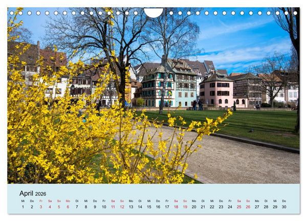 Produktbild: Elsass- und Vogesentr&auml;ume (Wandkalender 2026 DIN A4 quer), CALVENDO Monatskalender