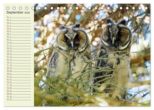 Produktbild: L&auml;ndliche Idylle zwischen Erzgebirge und Muldental (Tischkalender 2026 DIN A5 quer), CALVENDO Monatskalender