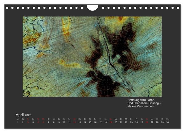Produktbild: MAGIE HOLZ 2026 (Wandkalender 2026 DIN A4 quer), CALVENDO Monatskalender
