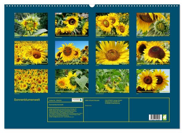 Produktbild: Sonnenblumenwelt (Wandkalender 2026 DIN A2 quer), CALVENDO Monatskalender