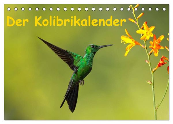 Produktbild: Der Kolibrikalender (Tischkalender 2026 DIN A5 quer), CALVENDO Monatskalender