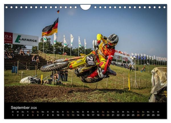 Produktbild: whip`s and scrub`s (Wandkalender 2026 DIN A4 quer), CALVENDO Monatskalender