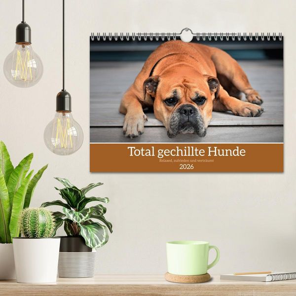 Produktbild: Total gechillte Hunde (Wandkalender 2026 DIN A4 quer), CALVENDO Monatskalender