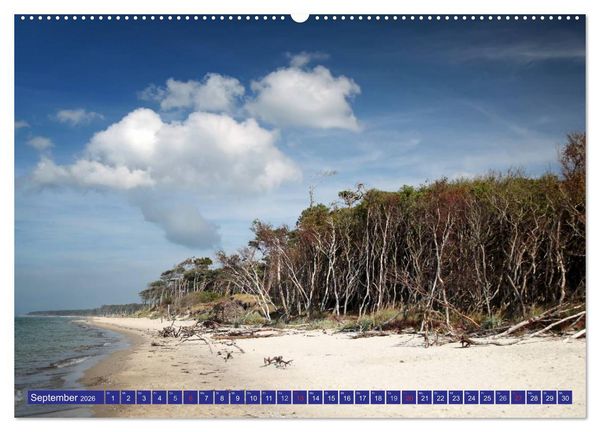 Produktbild: Weststrand Dar&szlig; (hochwertiger Premium Wandkalender 2026 DIN A2 quer), Kunstdruck in Hochglanz