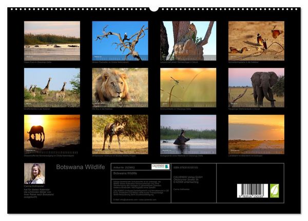 Produktbild: Botswana Wildlife (hochwertiger Premium Wandkalender 2026 DIN A2 quer), Kunstdruck in Hochglanz