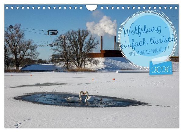 Produktbild: Wolfsburg - einfach tierisch (Wandkalender 2026 DIN A4 quer), CALVENDO Monatskalender