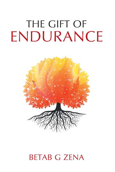 Produktbild: The Gift of Endurance