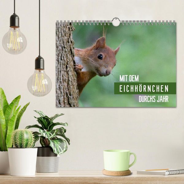 Produktbild: Mit dem Eichh&ouml;rnchen durchs Jahr (Wandkalender 2026 DIN A4 quer), CALVENDO Monatskalender