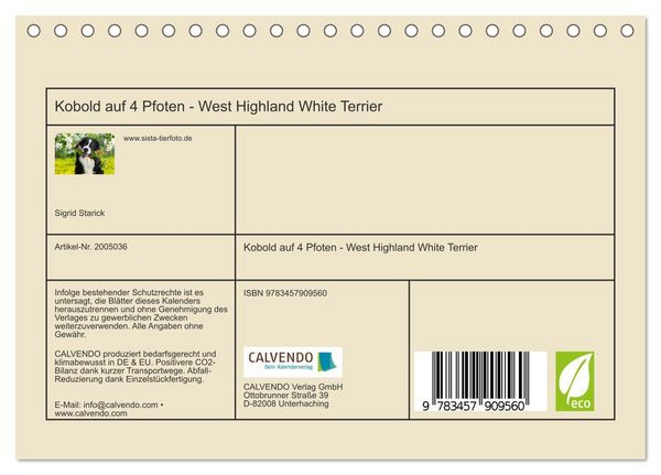 Produktbild: Kobold auf 4 Pfoten - West Highland White Terrier (Tischkalender 2026 DIN A5 quer), CALVENDO Monatskalender