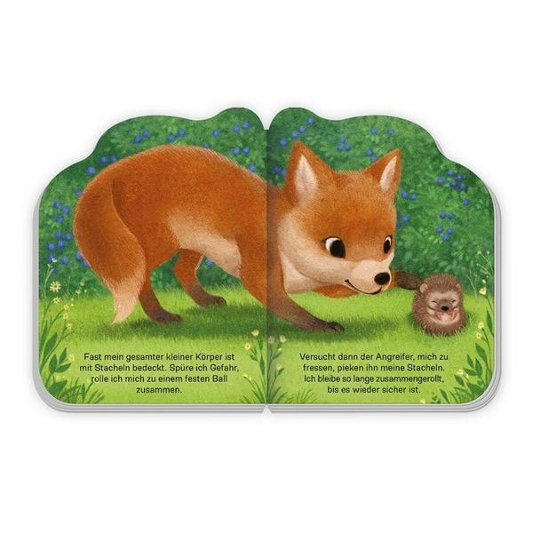Produktbild: TR&Ouml;TSCH - Pappenbuch Der kleine Igel | Ab 1 Jahr