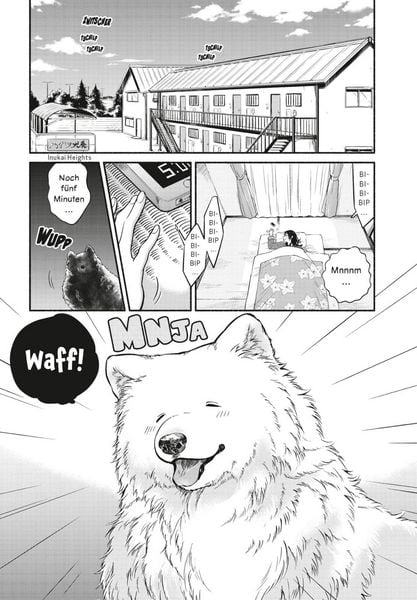 Produktbild: One Room Dog 1