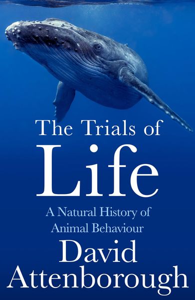 Produktbild: The Trials of Life
