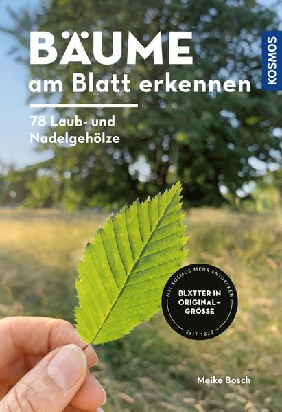 Produktbild: B&auml;ume am Blatt erkennen - 78 Laub- und Nadelgeh&ouml;lze. Bl&auml;tter in Originalgr&ouml;&szlig;e