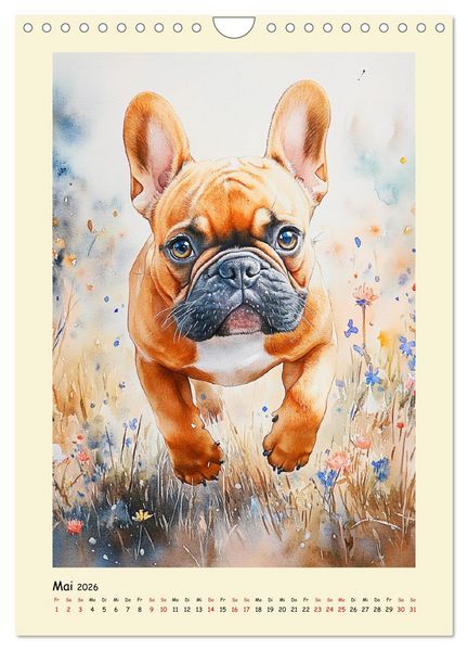 Produktbild: Charmante Bulldoggen. Franz&ouml;sische Lebensfreude auf vier Pfoten (Wandkalender 2026 DIN A4 hoch), CALVENDO Monatskalender