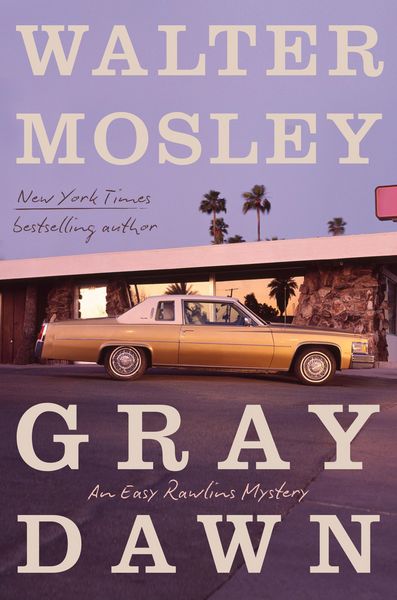 Produktbild: Gray Dawn