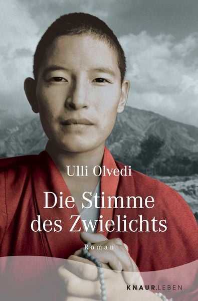 Produktbild: Die Stimme des Zwielichts