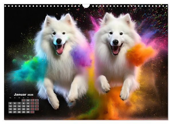 Produktbild: Holi Pulver - Doppelte Action (Wandkalender 2026 DIN A3 quer), CALVENDO Monatskalender
