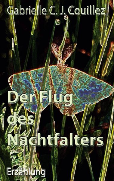 Produktbild: Der Flug des Nachtfalters