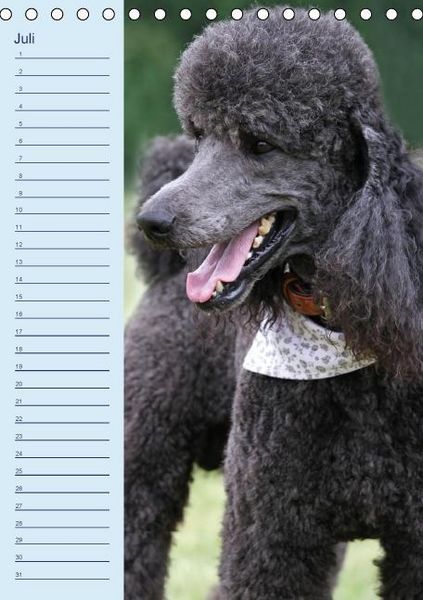 Produktbild: Pudel / Geburtstagskalender (Tischkalender immerw&auml;hrend DIN A5 hoch)