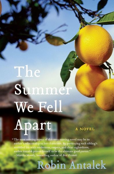 Produktbild: The Summer We Fell Apart