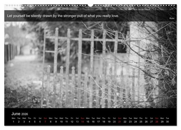 Produktbild: Through the Gate with Rumi (High Quality Premium Wall Calendar 2026 DIN A2 landscape),CALVENDO 12 Month Wall Calendar