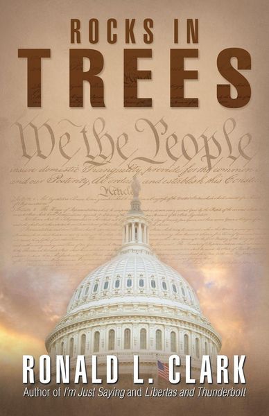 Produktbild: Rocks in Trees