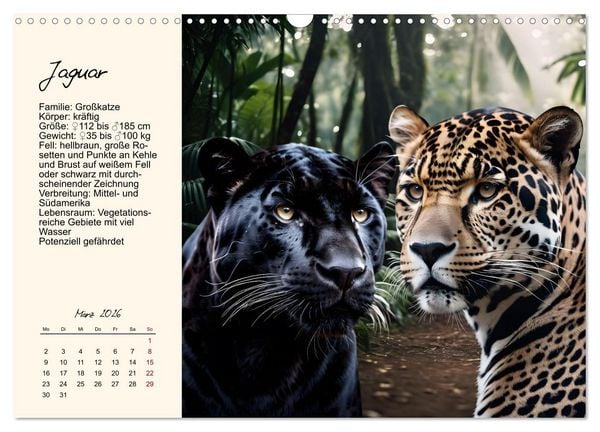 Produktbild: Zw&ouml;lf Raubkatzen im Portrait (Wandkalender 2026 DIN A3 quer), CALVENDO Monatskalender
