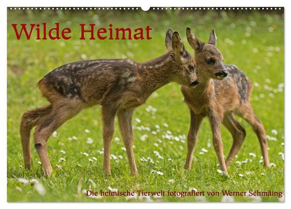 Wilde Heimat (Wandkalender 2026 DIN A2 quer), CALVENDO Monatskalender