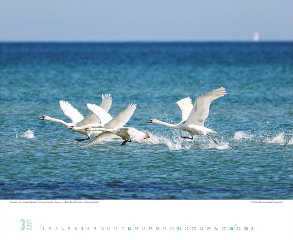 Produktbild: Faszinierende Ostsee 2027